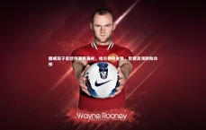 壹号娱乐官网-挪威双子星欧预赛齐发光，哈兰德夺金靴，厄德高领跑助攻榜